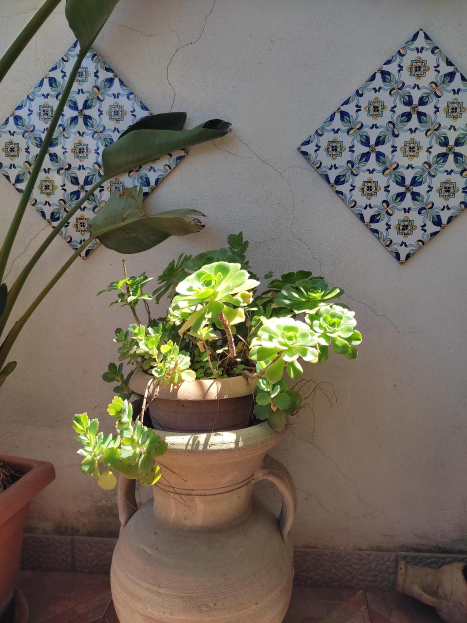 La Terrazza Di Massimo Apartment Palermo Luaran gambar